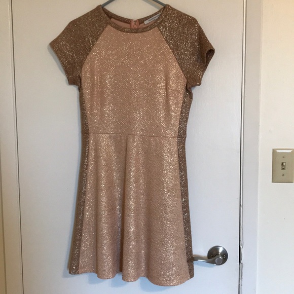 Metallic Short Sleeve Fit and Flare Dress - Picture 1 of 5